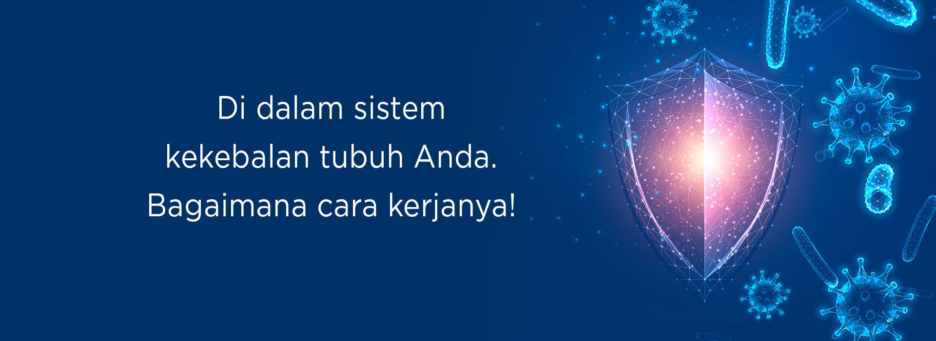 New Image International:Di dalam sistem kekebalan tubuh Anda. Bagaimana cara kerjanya!