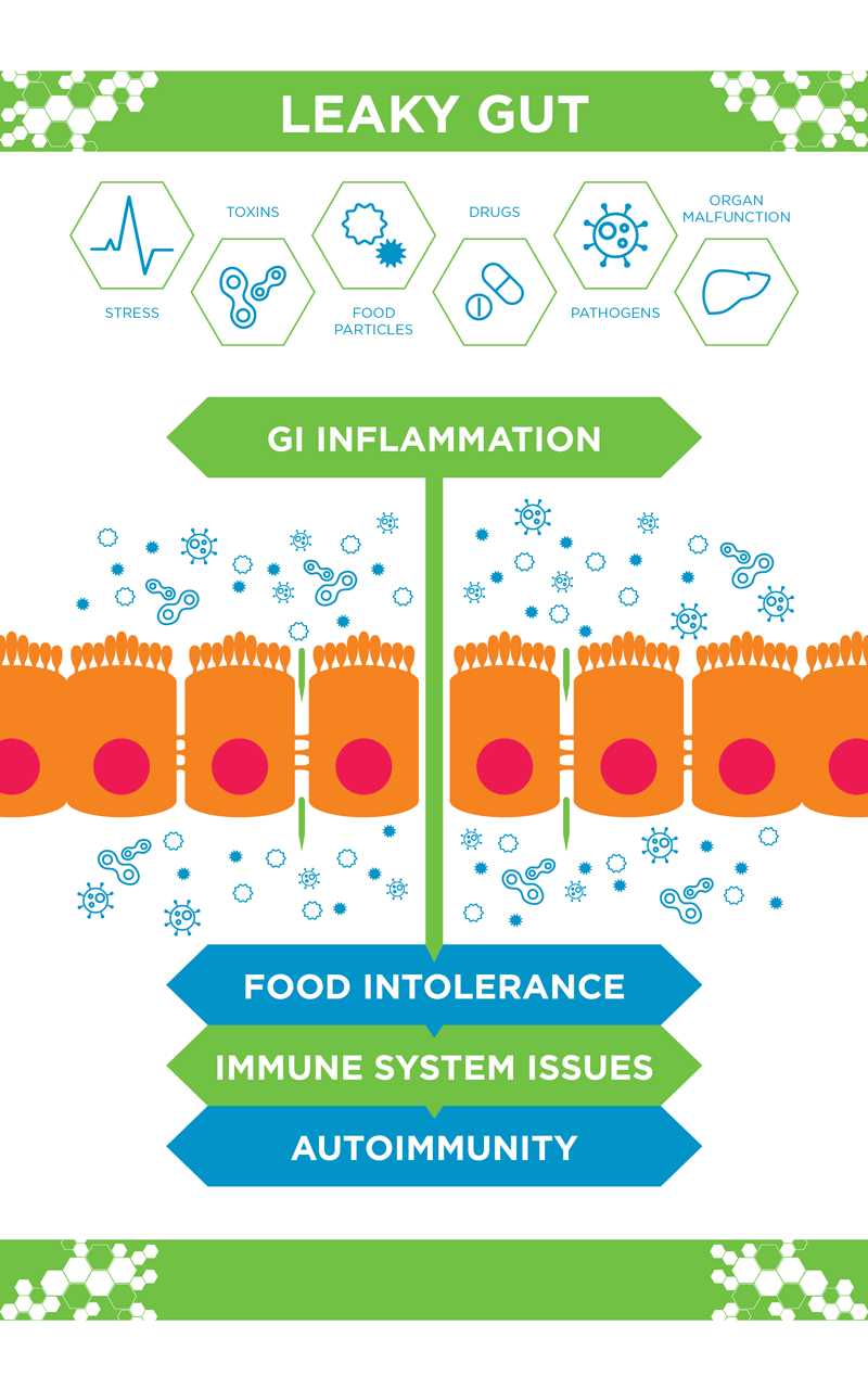 Leaky Gut